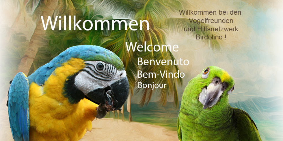 mainbanner welcome2